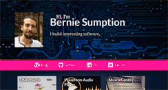 Desktop Screenshot of berniesumption.com